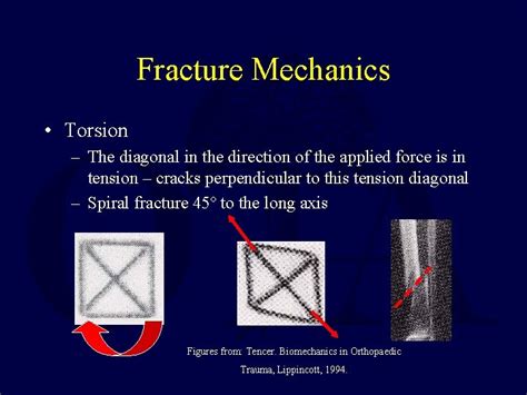 a long bone is sbjected to a torsion test|Biomechanics of Fractures and Fracture Fixation.